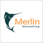 merlinkonsulting-853f446cd9.png